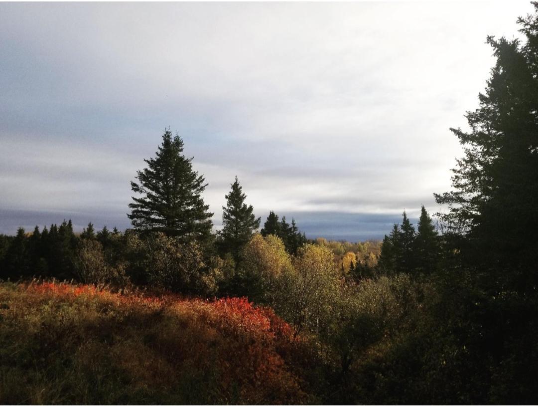 Gite Aux Jardins De L'Anse Perce Exteriér fotografie