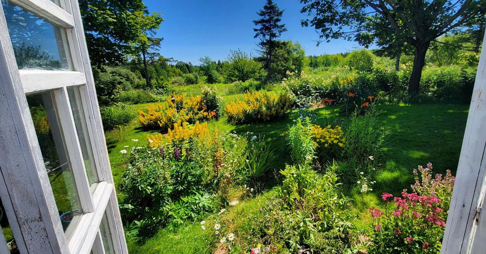 Gite Aux Jardins De L'Anse Perce Exteriér fotografie