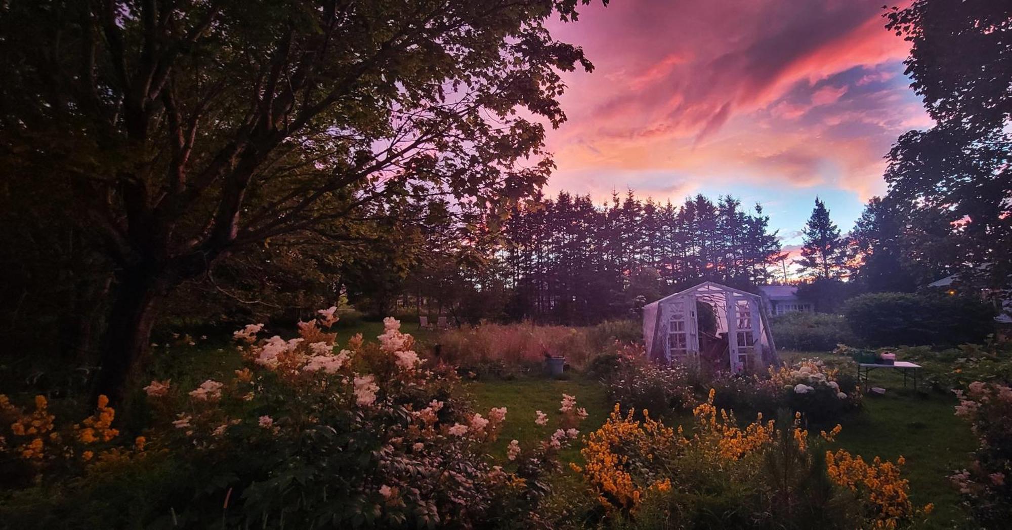 Gite Aux Jardins De L'Anse Perce Exteriér fotografie