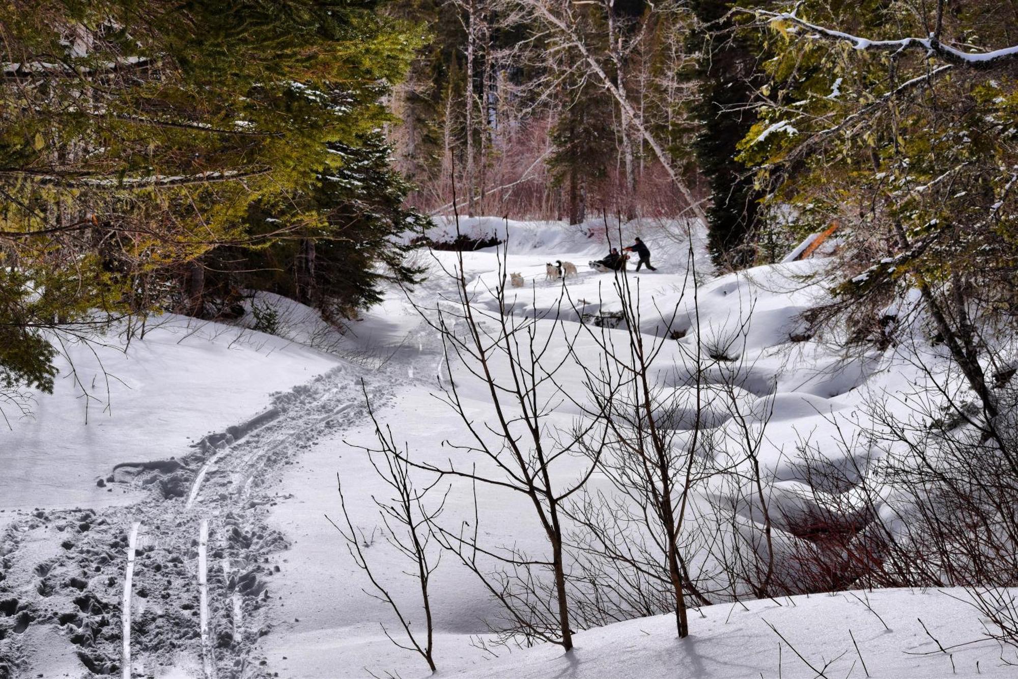 Gite Aux Jardins De L'Anse Perce Exteriér fotografie