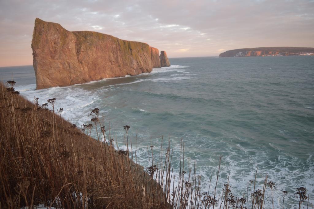 Gite Aux Jardins De L'Anse Perce Exteriér fotografie
